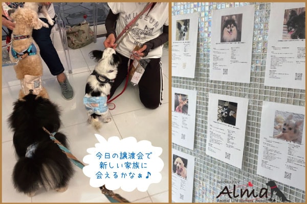 動物支援活動　第14回　(2025.09)