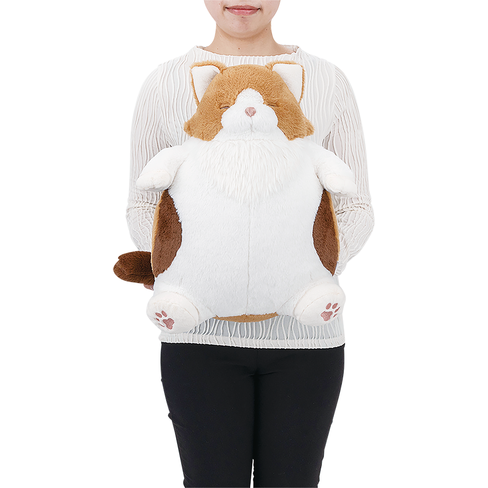 ねこ肯定感 抱きまくらLサイズ＊数量限定デザイン＊