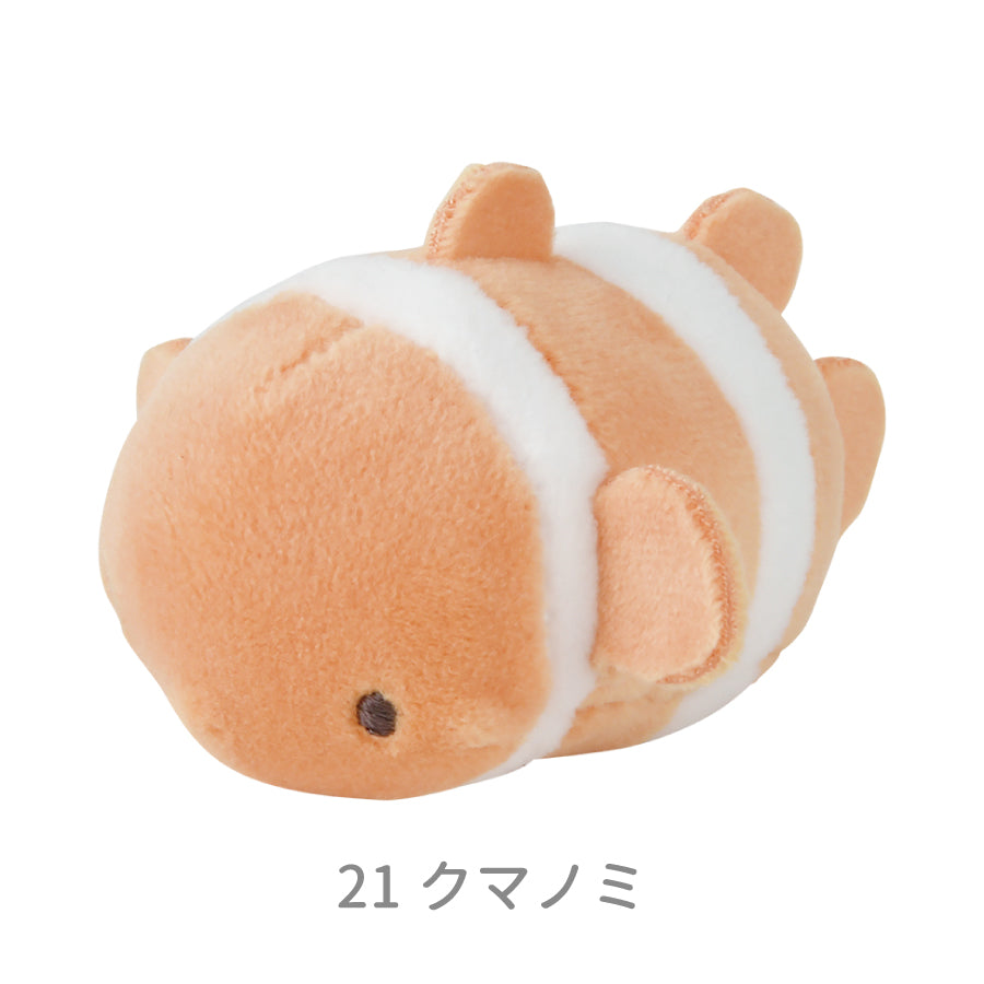 マシュマロアクアミエ　マグネット