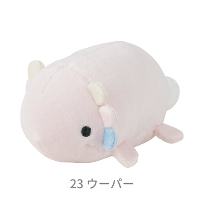 マシュマロアクアミエ　マグネット