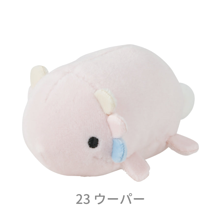 マシュマロアクアミエ　マグネット
