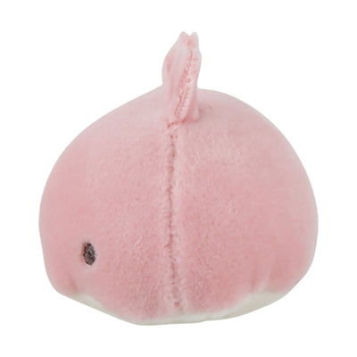 マシュマロアクアミエ　マグネット