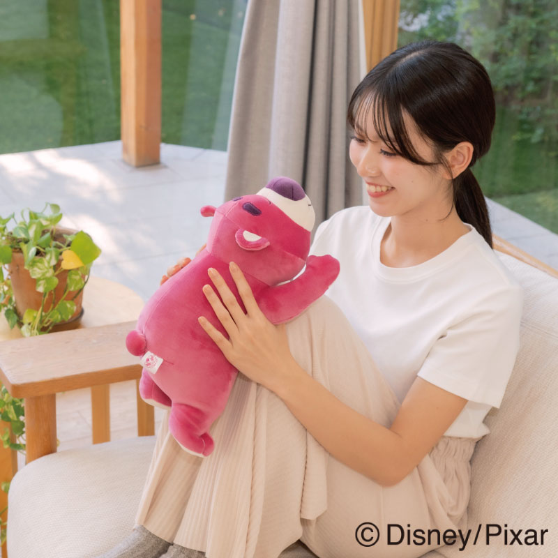 ディズニーコレクション　モチハグ　抱きまくらSサイズ