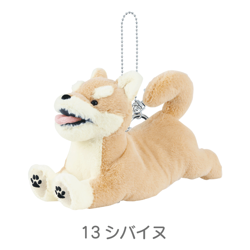 フラッピー　ポーチ