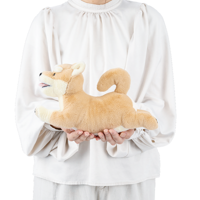 フラッピー　ウェルカムクッション