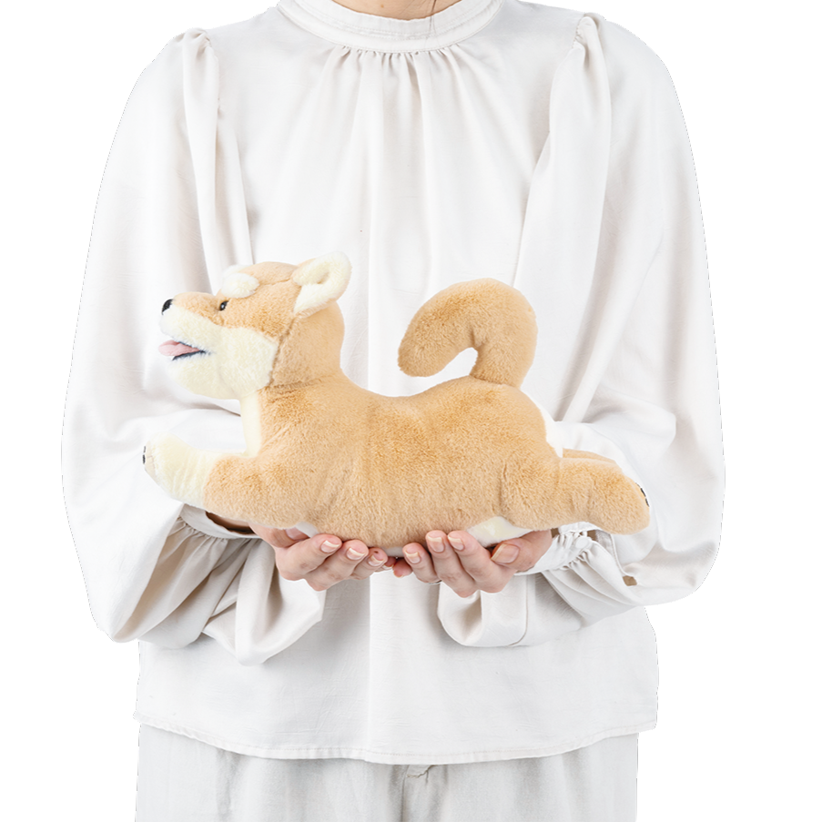 フラッピー　ウェルカムクッション