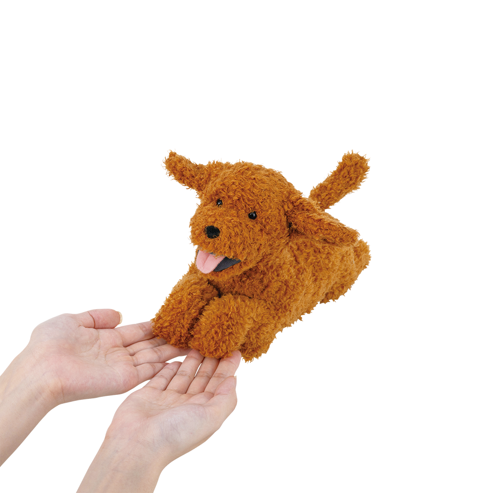 フラッピー　ウェルカムクッション