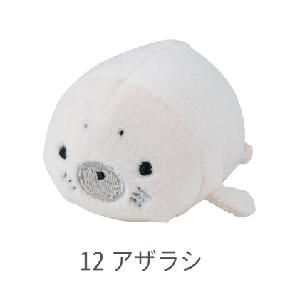 マシュマロアクアミエ　マグネット