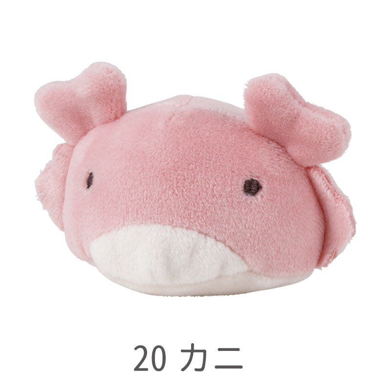 マシュマロアクアミエ　マグネット