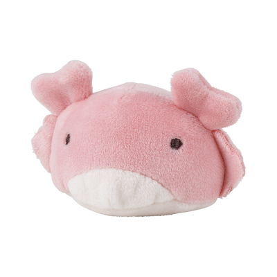 マシュマロアクアミエ　マグネット