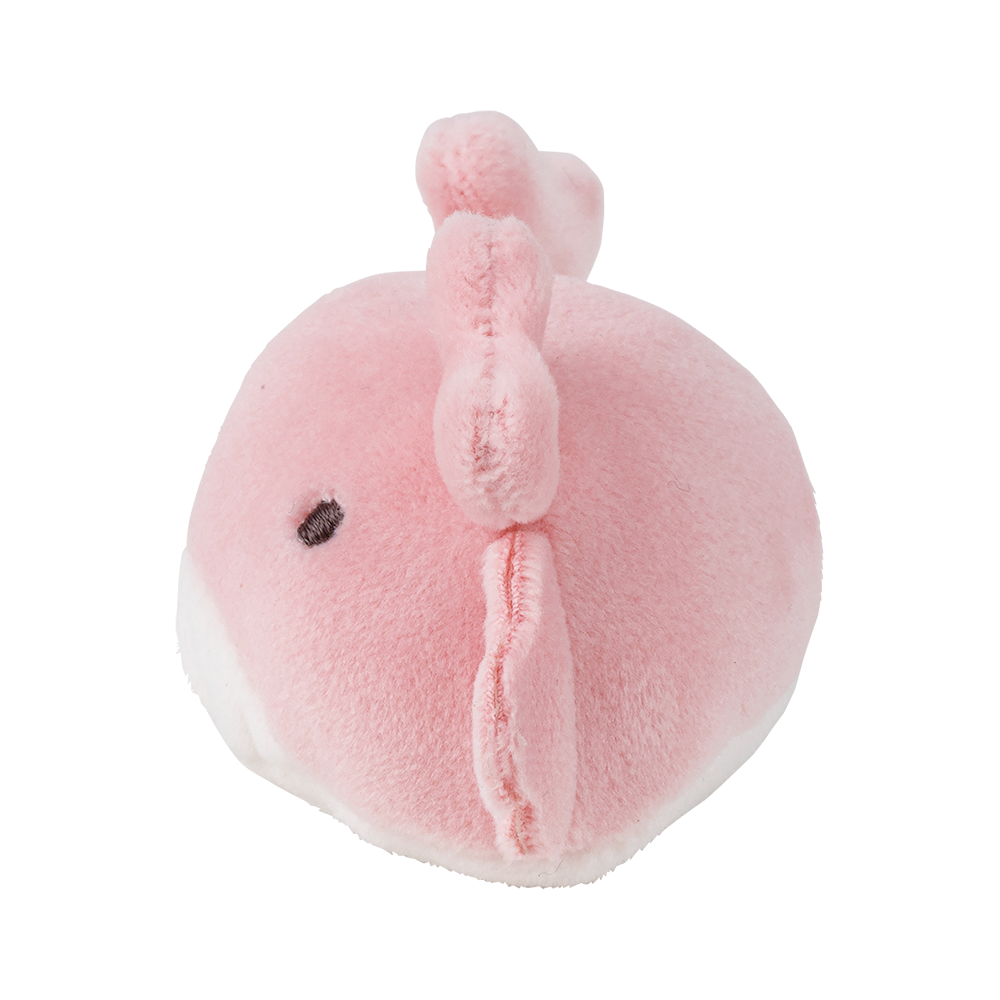 マシュマロアクアミエ　マグネット