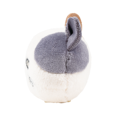 ピタリーヌ　マグネット