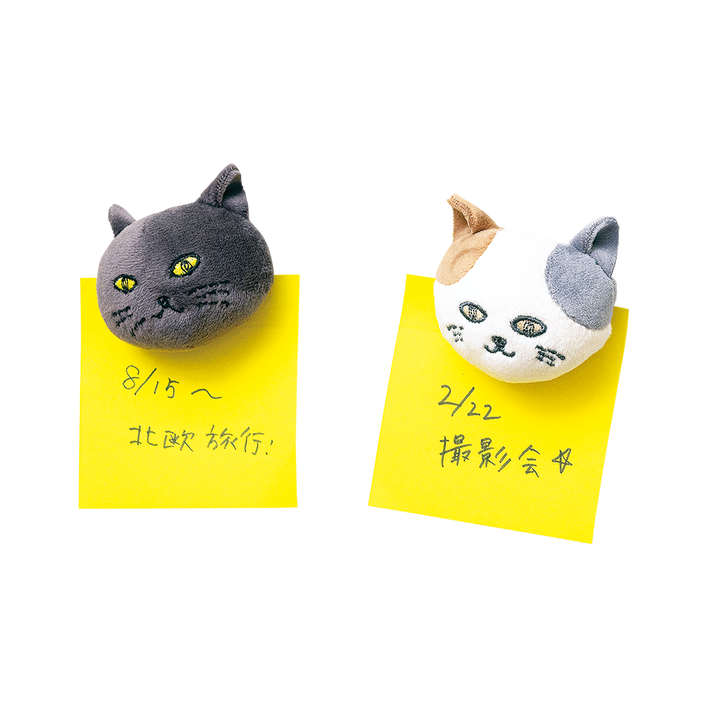 ピタリーヌ　マグネット