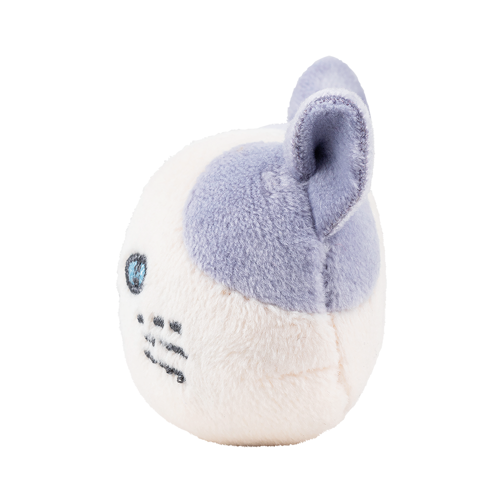 ピタリーヌ　マグネット
