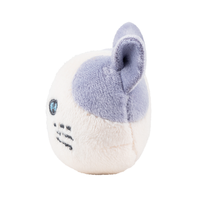 ピタリーヌ　マグネット