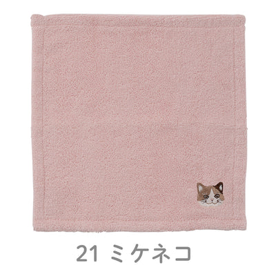 にゃんかち　ハンカチタオル