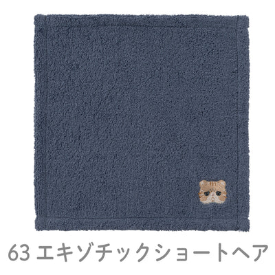 にゃんかち　ハンカチタオル