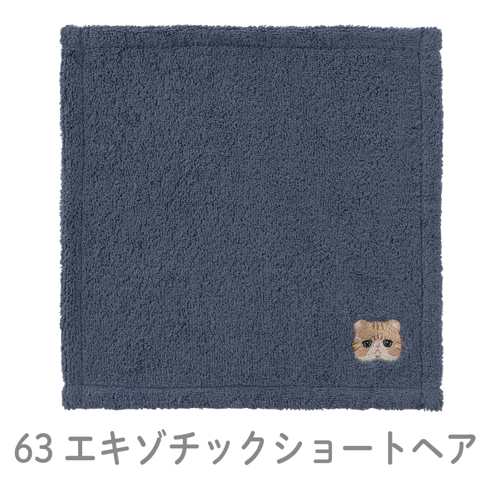 にゃんかち　ハンカチタオル