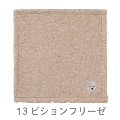 わんかち　ハンカチタオル