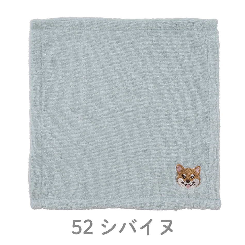 わんかち　ハンカチタオル