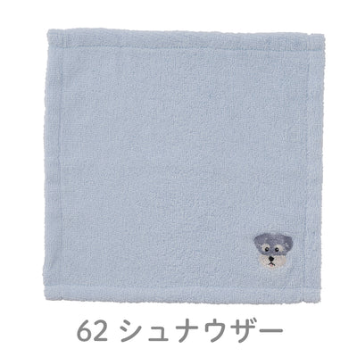 わんかち　ハンカチタオル