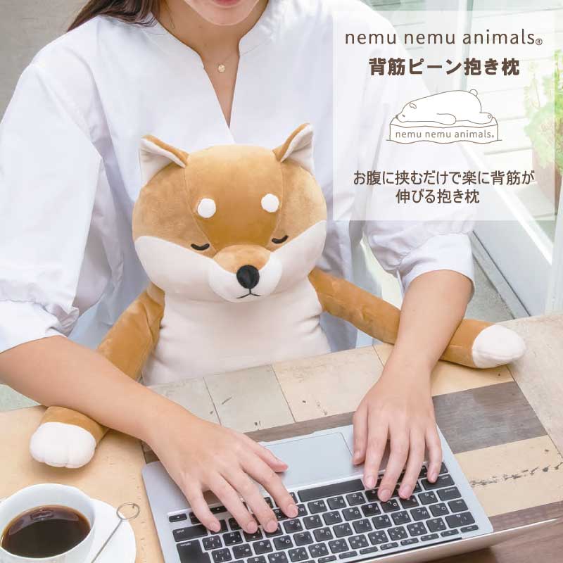 リラワーク　背筋ピーン抱きまくら