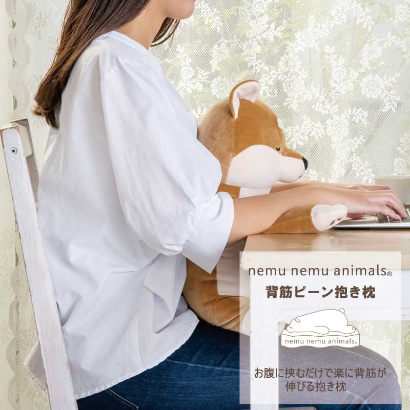 リラワーク　背筋ピーン抱きまくら