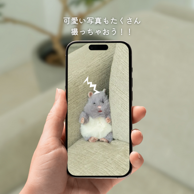 はむにぎり　マスコット